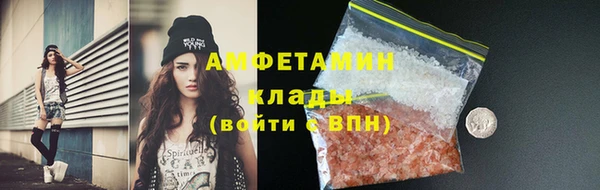 шишки Богородск