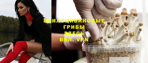 гидра Богородицк