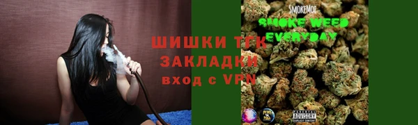 гидра Богородицк