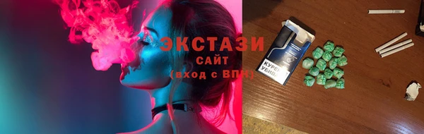 гидра Богородицк