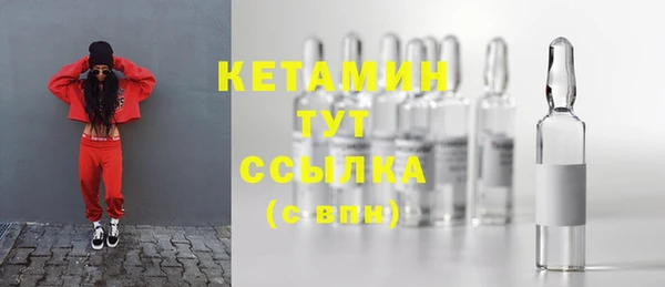 гидра Богородицк