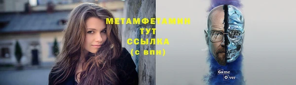 шишки Богородск