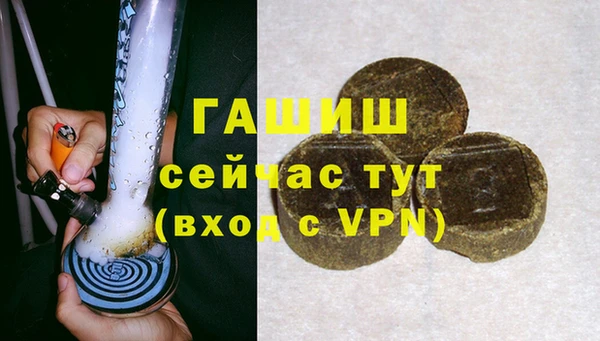 гидра Богородицк