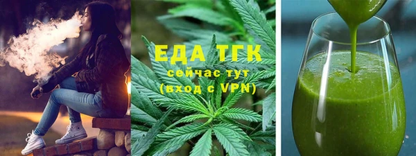 гидра Богородицк