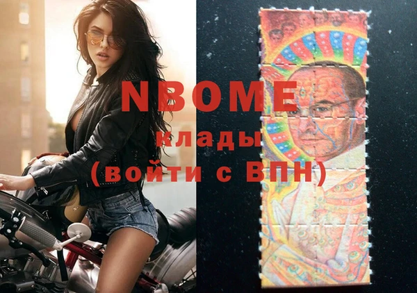 гидра Богородицк