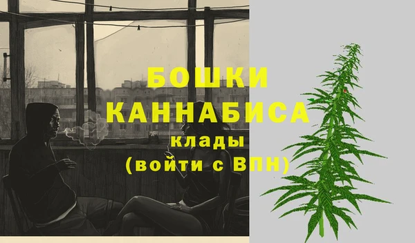 шишки Богородск