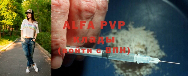 шишки Богородск