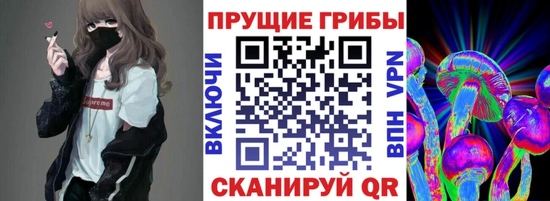сколько стоит  Пестово  Псилоцибиновые грибы прущие грибы 